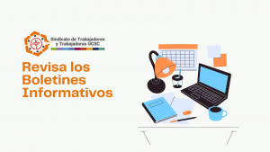 Boletines